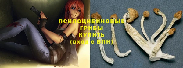 прущие крисы Вяземский